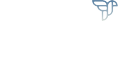 travel retail animations